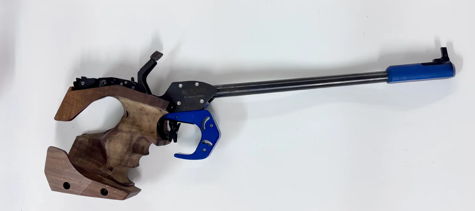 MatchGun MG5 cal. .22